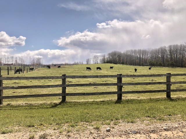 pasture raised Michigan beef and chicken